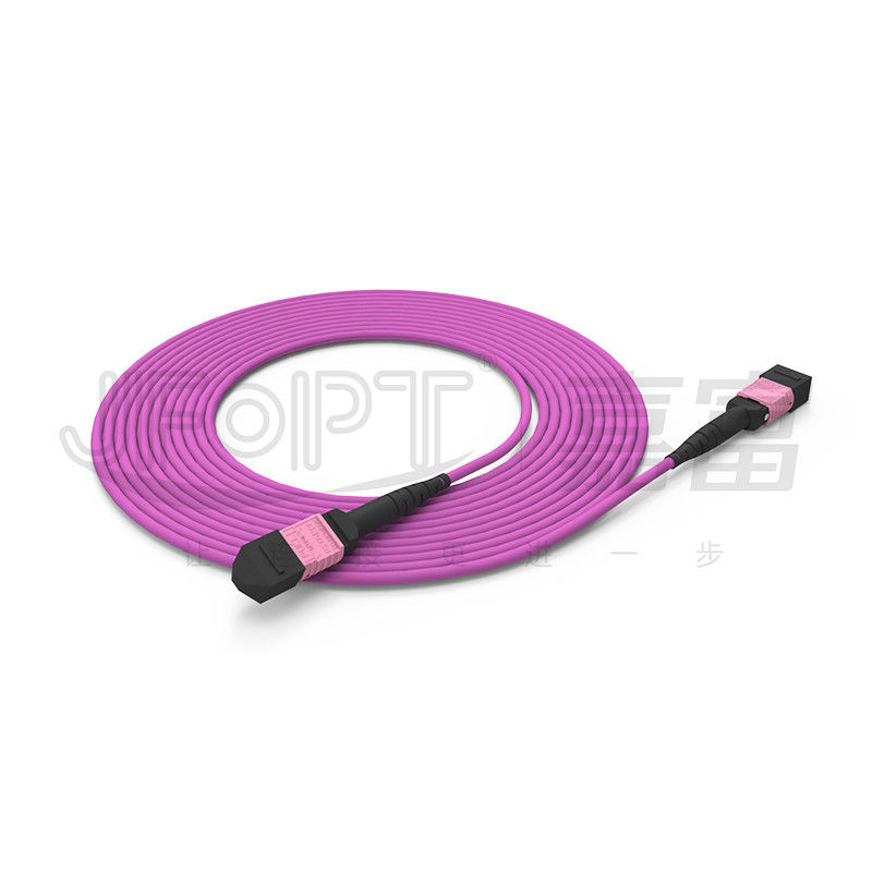 100G MTP Patch Cord 24 Core Multimode OM4 50/125 LSZH 3.0-4.0mm Heather Violet Jumper