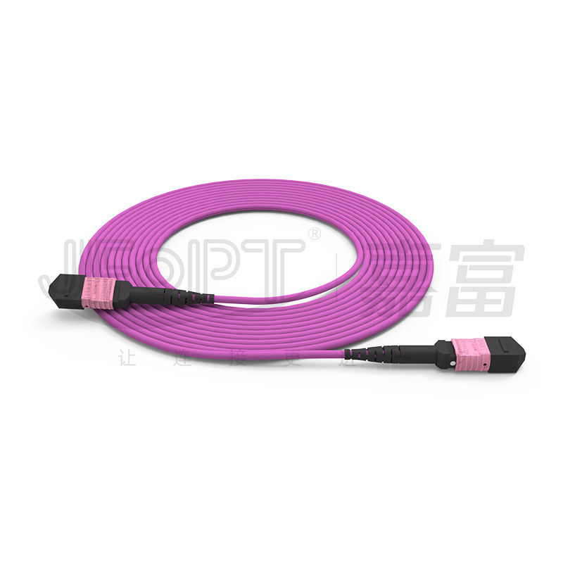 100G MTP Patch Cord 24 Core Multimode OM4 50/125 LSZH 3.0-4.0mm Heather Violet Jumper