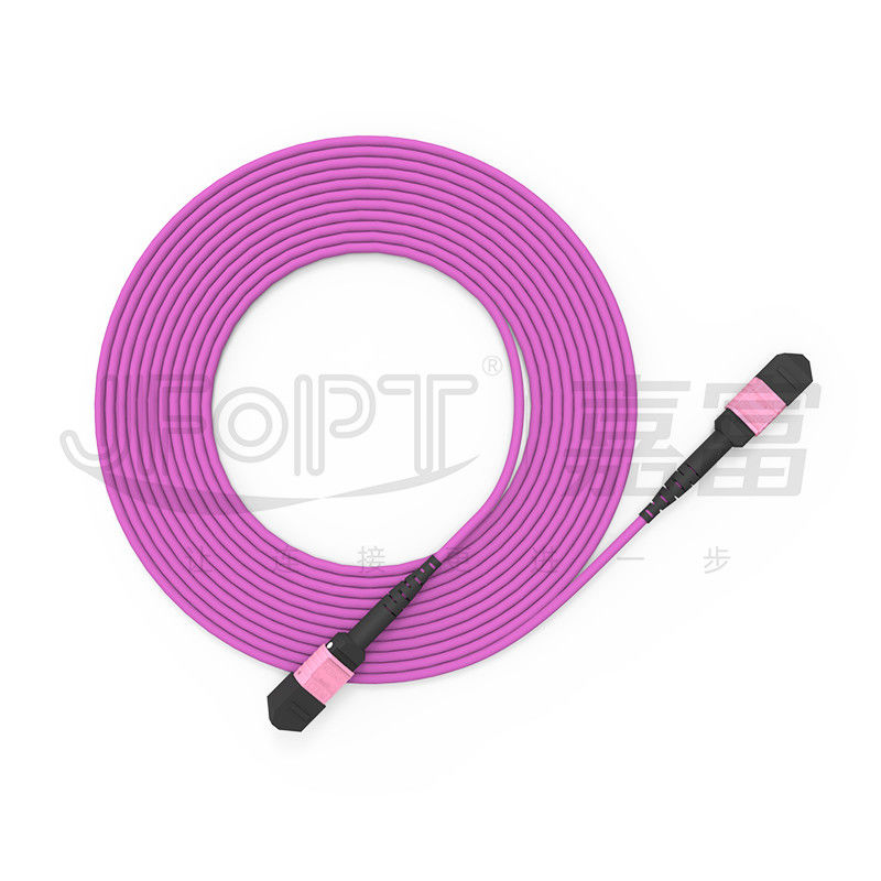 100G MTP Patch Cord 24 Core Multimode OM4 50/125 LSZH 3.0-4.0mm Heather Violet Jumper
