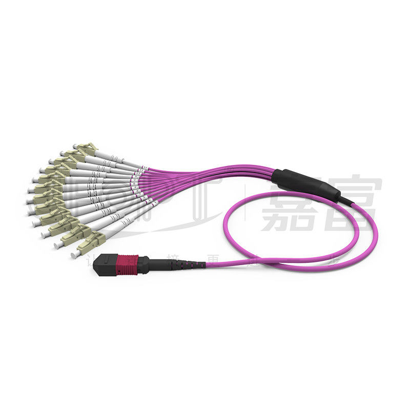 MPO - LC Breakout Patch Cord 2.0mm Fanout LC DX Dengan Clip MM Standard Loss Ferrule