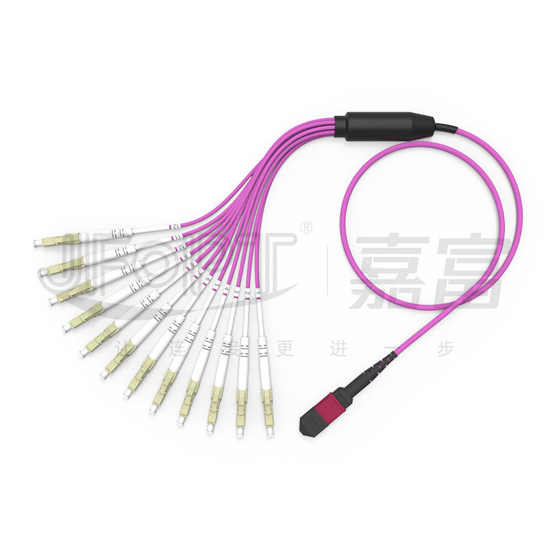 MPO - LC Breakout Patch Cord 2.0mm Fanout LC DX Dengan Clip MM Standard Loss Ferrule