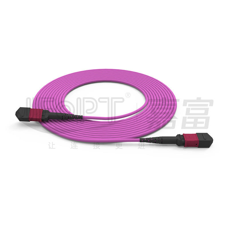 Kabel Batang Tabung Tunggal MPO-MPO 12 Cores 2.0mm OM3 OM4 Kabel Serat Violet