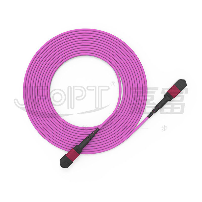 Kabel Batang Tabung Tunggal MPO-MPO 12 Cores 2.0mm OM3 OM4 Kabel Serat Violet