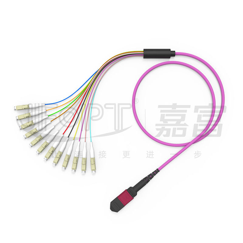 12 Cores MPO Ke LC Breakout Multimode Patch Cord OM1 OM2 OM3 OM4 OM5 0.9mm Cabang