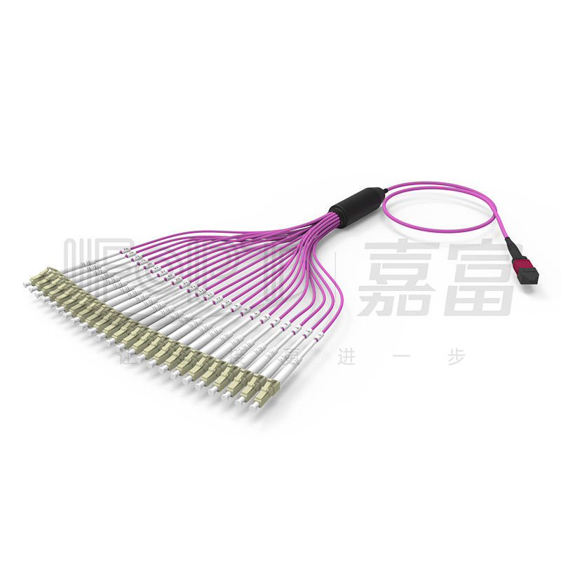2.0mm LC Cabang MTP Patch Cord MTP-LC 24 Cores 3.0mm OM4 Fiber Patch Cord