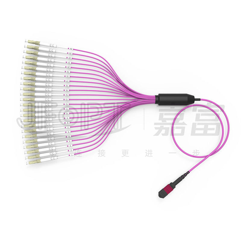2.0mm LC Cabang MTP Patch Cord MTP-LC 24 Cores 3.0mm OM4 Fiber Patch Cord