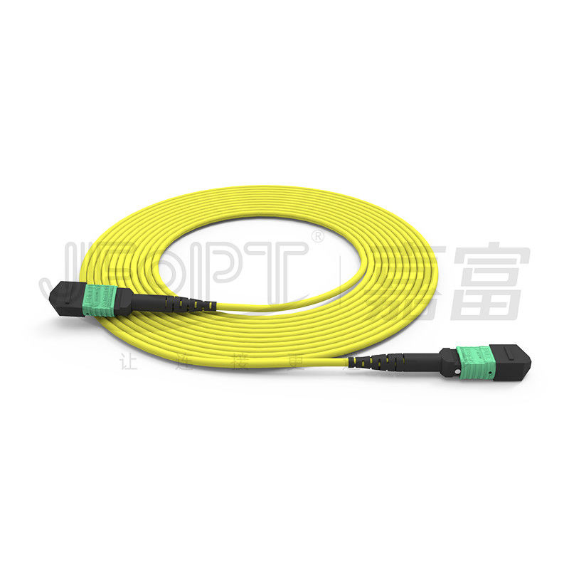 MTP 24 Core Single Mode OS2 Polarity A OFNP UL Rated Fiber Optic Patch Cord