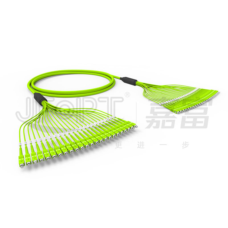 Kabel Serat Optik Bundel Pra Terminasi 24 Inti Multimode OM5 Jaket PVC 0,5m Bercabang Dengan SC / APC