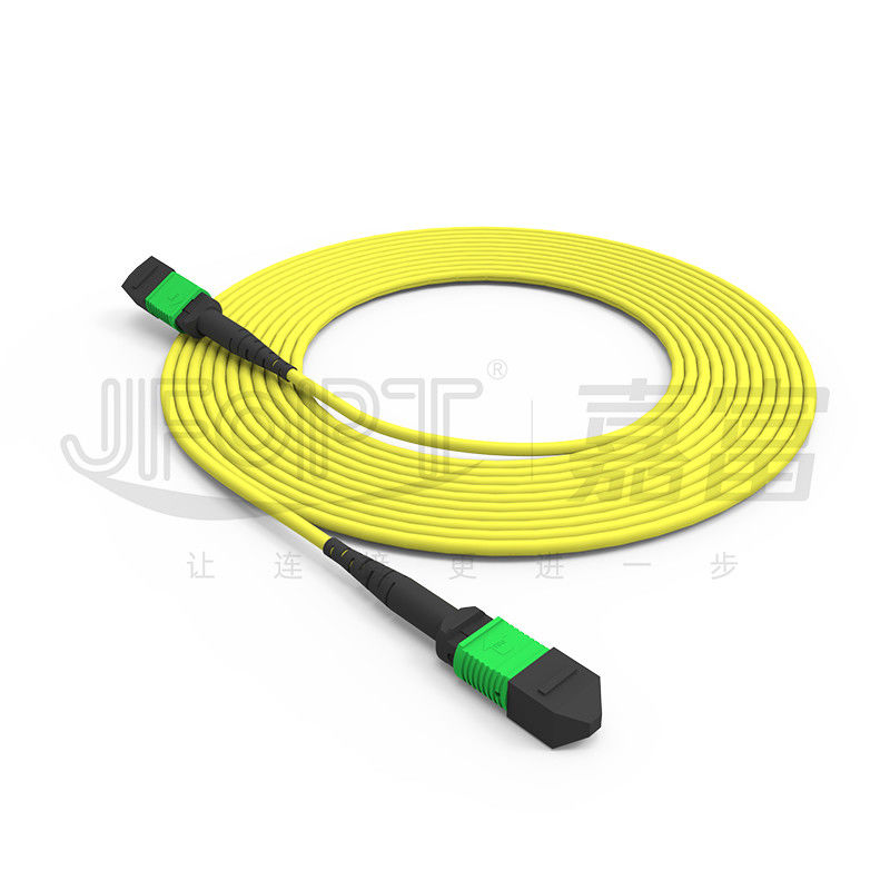 Kabel MPO Trunk G657A1/G657A2 Jumper Backbone