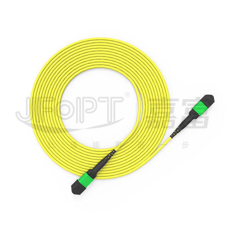 Kabel MPO Trunk G657A1/G657A2 Jumper Backbone