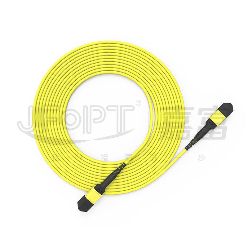 Kabel MPO Trunk G657A1/G657A2 Jumper Backbone