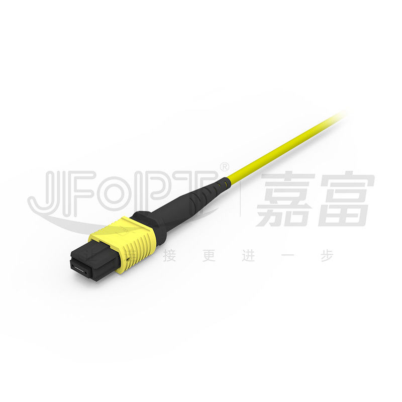 12 Core MPO Trunk Cable LSZH 2.0mm/3.0mm low loss Single-Tube Mini Cable MPO Patch Cord