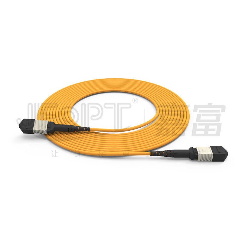 Kabel Batang MPO Ferrule Kerugian Rendah Multimode 850nm Kabel Patch Serat Optik Multi-inti